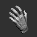 Detailed 3D Hand Models With Various Poses And Realistic Textures