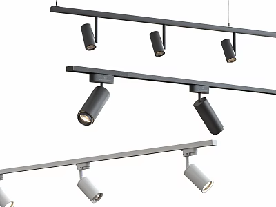 Track Mounted Downlights And Spotlights In Black White Finish Modern Home Interior Lighting 3d model