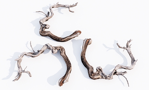 Modern Dead Wood Dead Tree Branch 3d model