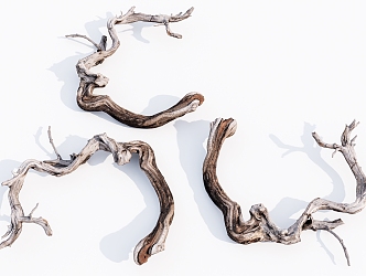 Modern Dead Wood Dead Tree Branch 3d model