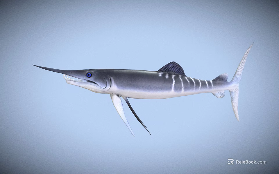 Swordfish With Long Bill Blue Eyes Silver Body White Stripes And Dorsal Fin 3d model 