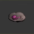 Artistic Pink Flamingo Sitting On Small Rock With Open Book And Pen