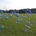 Charming Garden Ornaments With Transparent Soap Bubbles Floating Over Green Grass And Background Trees