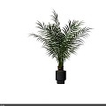 Modern Potted Plants Potted Landscape Plants Sanwei Kwai Green Plants 3d model