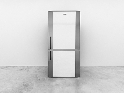 Refrigerator model