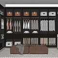 Modern Walk in Closet Interior Design With Glass Doors Hanging Garments And Storage Boxes