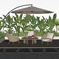 Outdoor Wicker Chairs With Patio Umbrella And Lush Green Plants On Wooden Deck