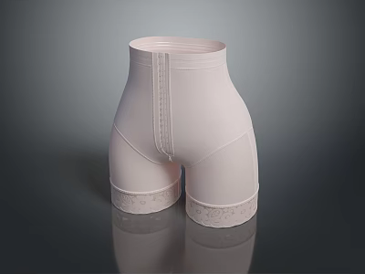 Women's High Waist Pink Underwear With Soft Comfortable Fabric And Lace Trimmed Edges 3d model
