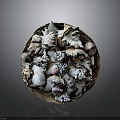 Decorative Basket Filled With Various Seashells Of Different Shapes And Sizes