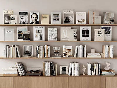 Elegant Books and Magazines Display on Wooden Bookshelves With Decorative Items and Framed 3d model