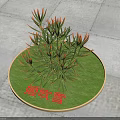 Jichuixue Plant With Green Leaves And Orange Tips On Circular Green Mat Grey Pavement
