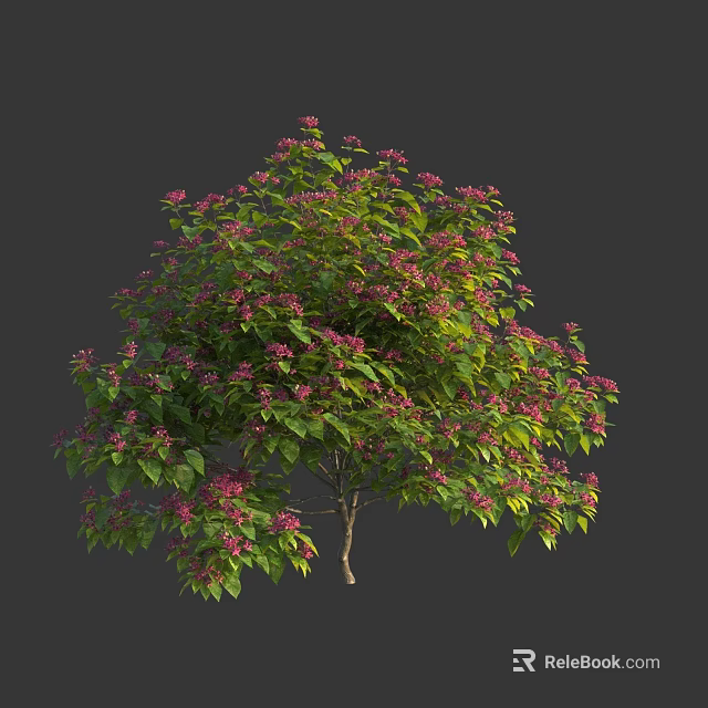 Beautiful Flowering Shrub With Lush Green Leaves And Pink Blossoms 3d model 