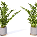 Lush Green Bonsai Potted Plants With Gray Ceramic Pots And Golden Base