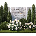Beautiful Colorful Hydrangeas With White And Pink Blooms Surrounded By Green Trees And Stone Wall