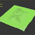 Plant Root Structure on White Paper with Gray Background and Textured Damaged Wood