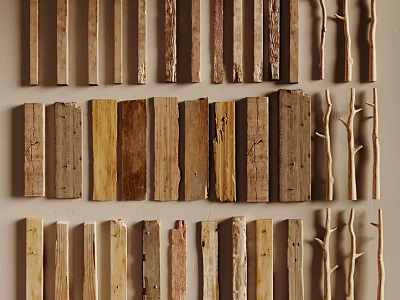 Decorative Wooden Strips And Natural Branches For Wall Arrangement 3d model
