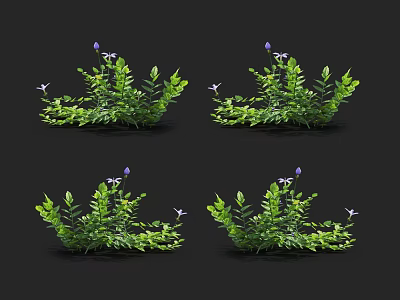 Lush Green Leafy Garden Plants With Purple Flowers And Fresh Foliage 3d model
