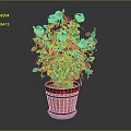 Potted Plant With Yellow Flowers And Green Leaves In Red Brown Barrel Planter