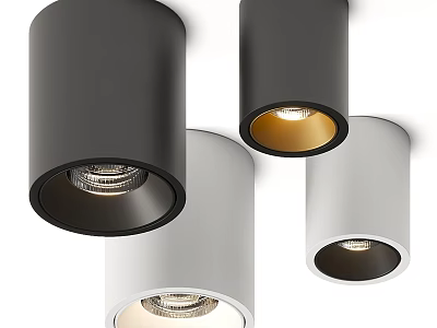 Modern Black And White Downlights And Spotlights For Home Interior Lighting 3d model