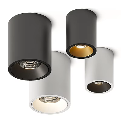 Modern Black And White Downlights And Spotlights For Home Interior Lighting 3d model
