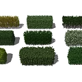 Different Types of Decorative Shrubs with Various Green Yellow and White Foliage for Garden Landscaping