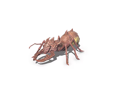 Brown Insect With Yellow Compound Eyes Exoskeleton Segmented Body Six Legs And Antennae 3d model