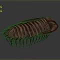 Purple Red Striped Trilobite 3D Model with Spiked Edges and Textured Surface on Gray Background