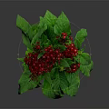 Potted Plant With Red Flowers And Green Leaves In Red Pot
