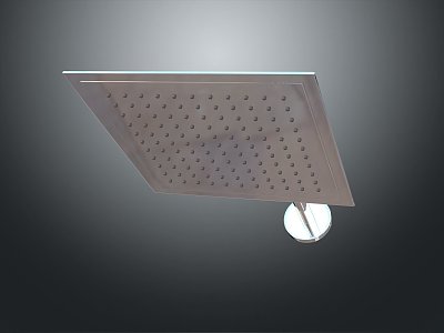 Modern Rain Shower Head Shower Head model