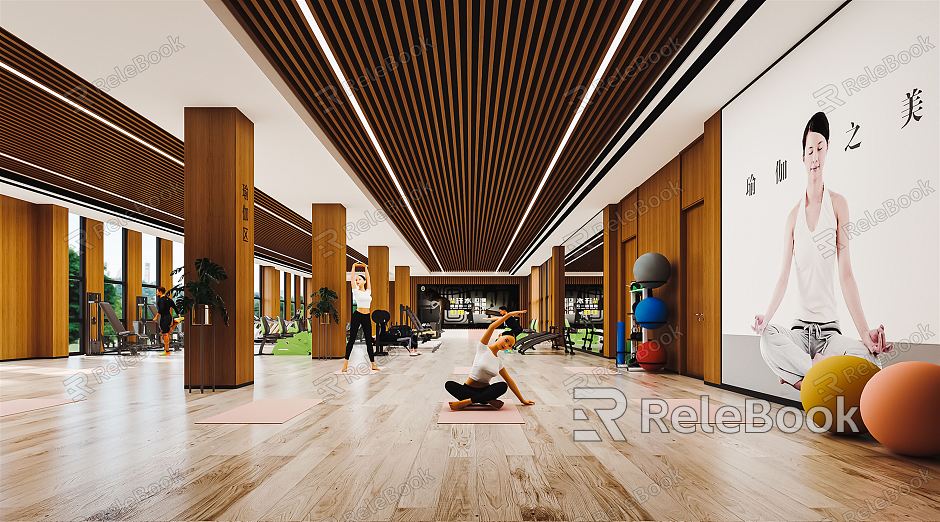 Modern Gym Yoga Room Private Teaching Room Pilates Exercise Room Yoga Mat Yoga Ball Hanging Rope Hanging Ring model