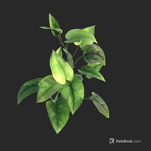 Lush Variegated Pothos Plant With Heart Shaped Green Leaves And Trailing Vines 3d model 