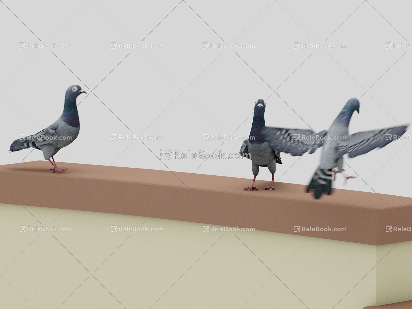 Modern Pigeon Pigeon Fall Animation 3d model