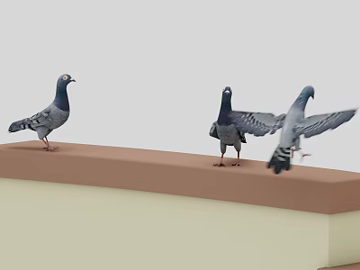 Three Pigeons Some Standing And One Spreading Wings On A Brown Platform 3d model