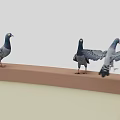 Modern Pigeon Fall Animation 3d model