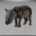 3D Rendered Baby Rhinoceros With Pinkish Gray Appearance On Dark Reflective Surface