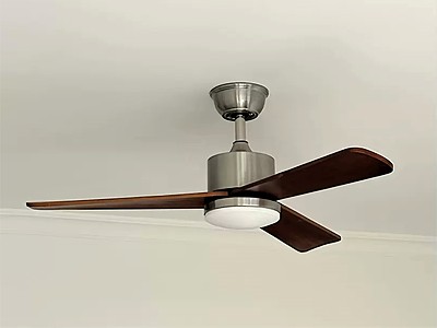 Modern fan ceiling fan light 3d model