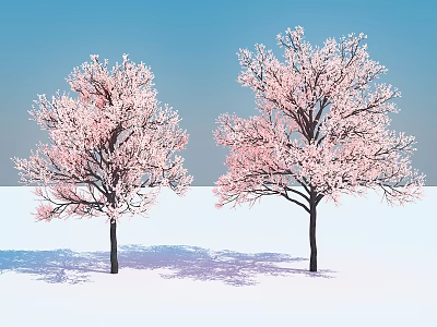Blooming Trees With Pink Blossoms Against Blue Sky And Snowy Ground 3d model