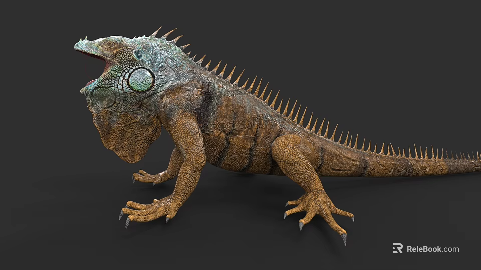 Close Up Of Green Iguana With Spiked Back Open Mouth And Scaly Skin 3d model 