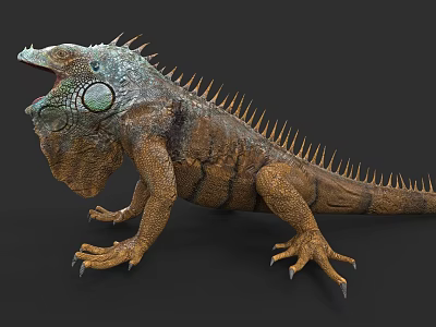 Close Up Of Green Iguana With Spiked Back Open Mouth And Scaly Skin 3d model