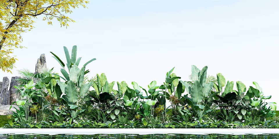 Lush Green Tropical Plants With Large Leaves By Water Pool Under Blue Sky 3d model 