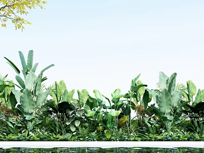 Lush Green Tropical Plants With Large Leaves By Water Pool Under Blue Sky 3d model
