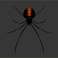 Black Widow Spider With Black Body Red Markings On Abdomen And Long Thin Legs