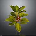 Lush Green Leafy Plant With Fresh Red Berries And Vibrant Foliage