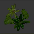 Fresh Culinary Herbs in Light Ceramic Pots for Home Cooking Preparation