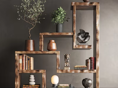 Wooden Decorative Cabinet With Multiple Shelves Plants Books Decorations And Lamp 3d model