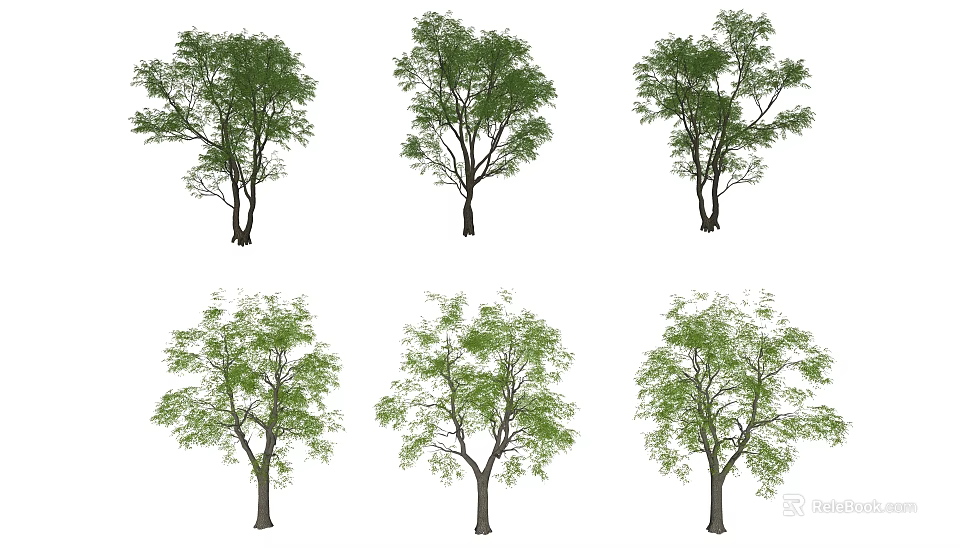 Various Form Trees With Green Leaves And Trunks For Landscape Design 3d model