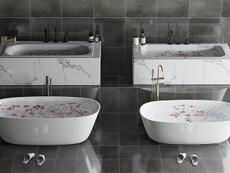 Modern Bathtub Simple Bathtub 3d model