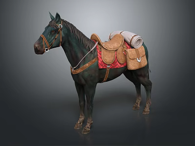 Horse Riding Equipment with Saddle Red Pad Rolled Blanket and Leather Bag 3d model