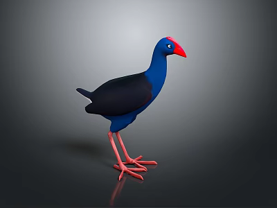 Blue And Black Bird With Red Beak And Red Legs 3D Rendered On Gray Background 3d model