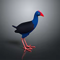 Blue And Black Bird With Red Beak And Red Legs 3D Rendered On Gray Background